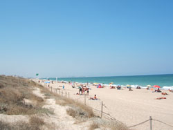 Playa (Beach) de La Devesa / Dehesa - a Blue Flag Nudist Beach Near Valencia