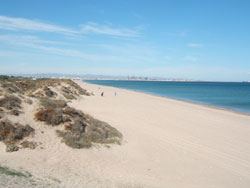 Playa de El Saler (El Saler Beach) - a Blue Flag Beach Near Valencia