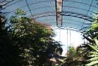 Jardin Botanico - Botanic Garden - arks and Gardens in the City of Flowers - Valencia, Spain