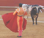 Bull Fighting (Corrida de Toros) in Valencia, Spain