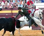 Bull Fighting (Corrida de Toros) in Valencia, Spain