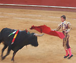 Bull Fighting (Corrida de Toros) in Valencia, Spain