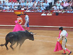 Bull Fighting (Corrida de Toros) in Valencia, Spain