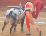 Bull Fighting (Corrida de Toros) in Valencia, Spain