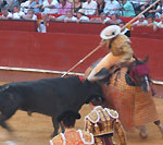 Bull Fighting (Corrida de Toros) in Valencia, Spain