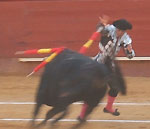 Bull Fighting (Corrida de Toros) in Valencia, Spain