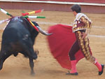 Bull Fighting (Corrida de Toros) in Valencia, Spain