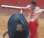 Bull Fighting (Corrida de Toros) in Valencia, Spain
