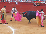 Bull Fighting (Corrida de Toros) in Valencia, Spain