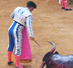 Bull Fighting (Corrida de Toros) in Valencia, Spain