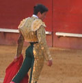 Bull Fighting (Corrida de Toros) in Valencia, Spain