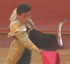 Bull Fighting (Corrida de Toros) in Valencia, Spain