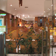 Salud - a passionate vegan restaurant-buffet in Valencia, Spain. Vegetarian Oriental food / cuisine.