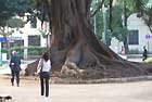 Glorieta - arks and Gardens in the City of Flowers - Valencia, Spain